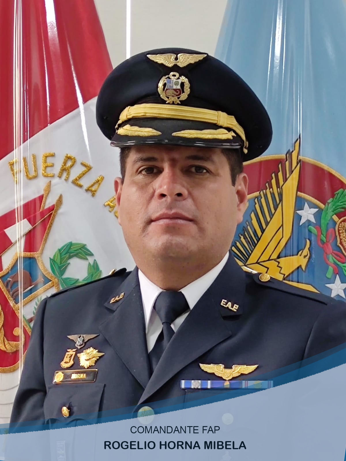 Director Ejecutivo del FOSEPFAP